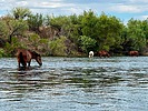 photo thumbnail #14