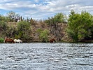 photo thumbnail #15