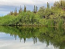 photo thumbnail #5