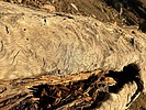 photo thumbnail #12