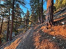 photo thumbnail #9