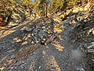 photo thumbnail #11