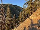 photo thumbnail #10