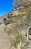 2025-07-24 :1: Telegraph - Prospector Lasso Loop :: joebartels
