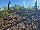 photo thumbnail #13
