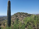 photo thumbnail #13