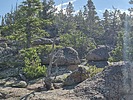 recent photo