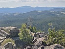 photo thumbnail #5