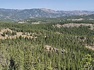 recent photo