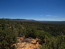 photo thumbnail #12