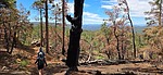 photo thumbnail #7