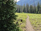 photo thumbnail #5