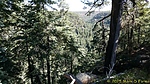 photo thumbnail #9