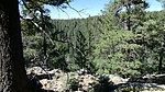 photo thumbnail #11
