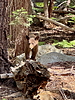 2025-07-25 :1: Rae Lakes Loop - Kings Canyon :: chumley
