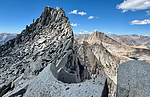 photo of comment