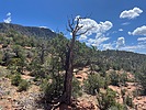 photo thumbnail #10