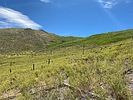 photo thumbnail #14
