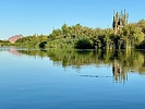 photo thumbnail #7