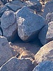 2025-07-28 :: Lower Salt River - Waterusers to PhonD :: DesertNymph