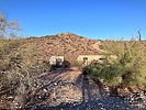 photo thumbnail #13