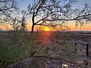 photo thumbnail #10