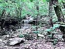 photo thumbnail #6