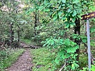 photo thumbnail #15