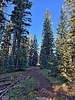 photo thumbnail #3