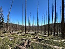 photo of comment