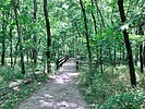 photo thumbnail #10