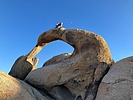 photo thumbnail #15