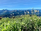 photo thumbnail #10