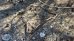 photo of comment