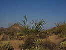 photo thumbnail #7