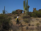 photo thumbnail #8