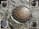 2025-08-02 :1: Mount Whitney 14,505 :: John10s