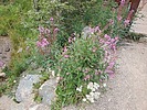 photo thumbnail #12