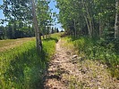 photo thumbnail #6