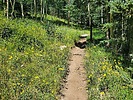 photo thumbnail #9