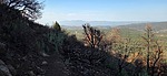 photo thumbnail #2