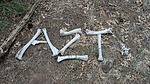 photo thumbnail #8