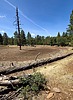 photo thumbnail #6