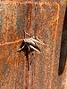 photo thumbnail #13