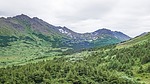 photo of comment