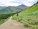 photo thumbnail #8