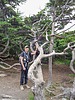 recent photo