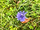photo thumbnail #12