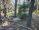photo thumbnail #8