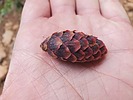 photo thumbnail #15